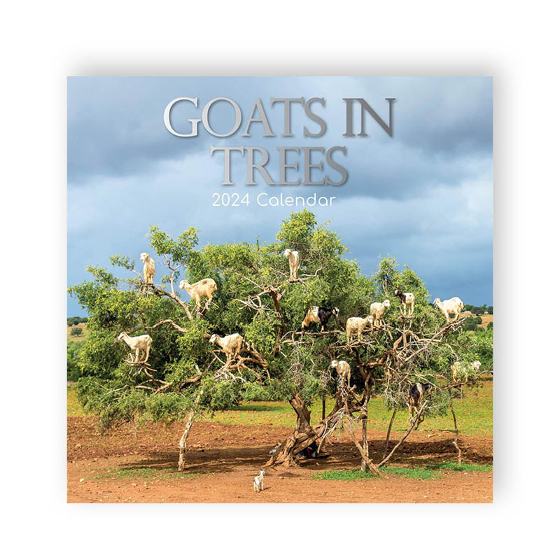 GOATS IN TREES Kalender 2024